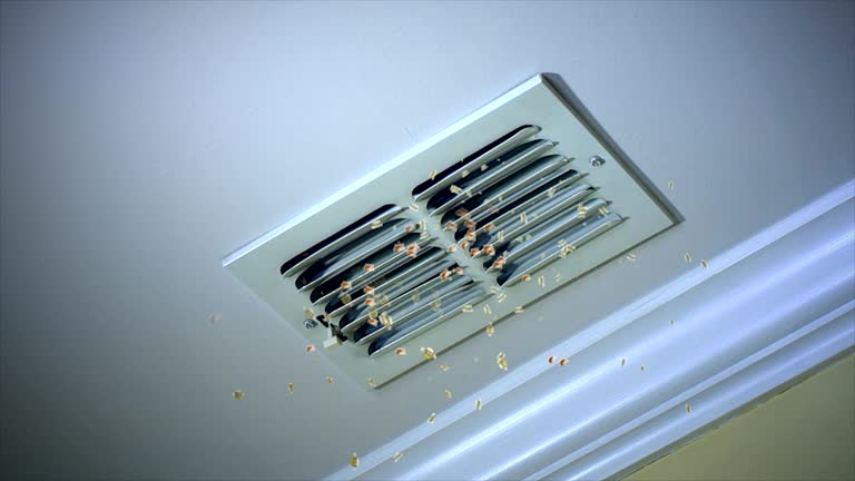 Air Duct Mold Removal in GA
